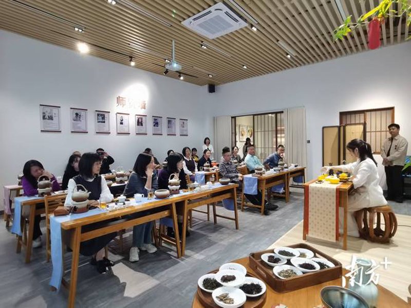 体验茶艺之美,品味生活诗意
